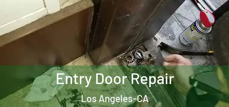  Entry Door Repair Los Angeles-CA