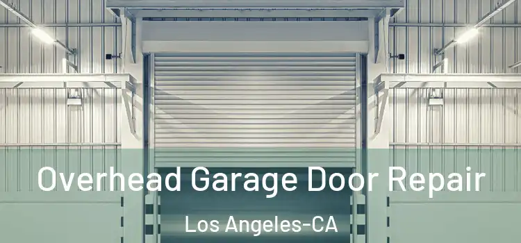  Overhead Garage Door Repair Los Angeles-CA
