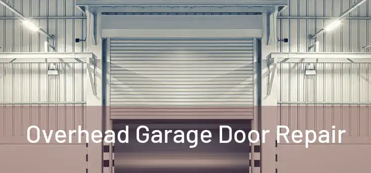  Overhead Garage Door Repair 